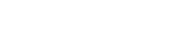 CAMEL303